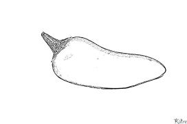 chilis Amaphepha Ombala Aprintwayo